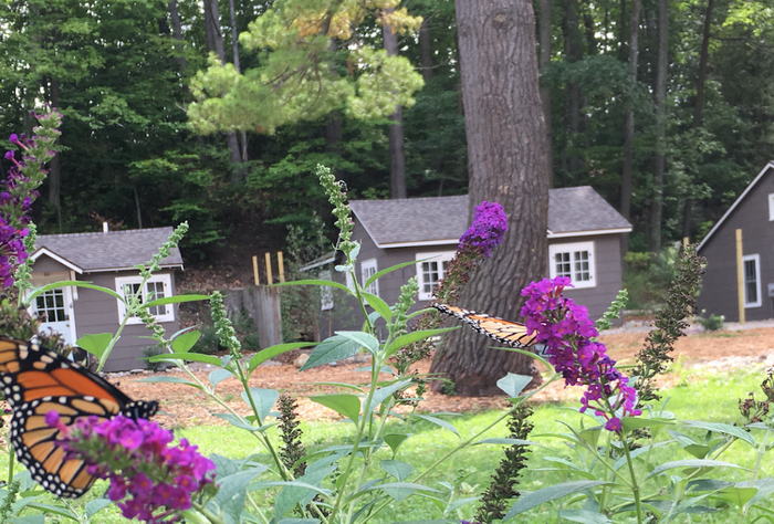 Paradise Pines - Photo From Website (newer photo)